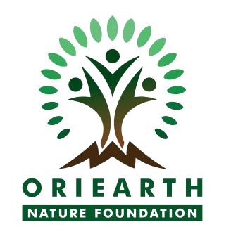 oriearthbgremove