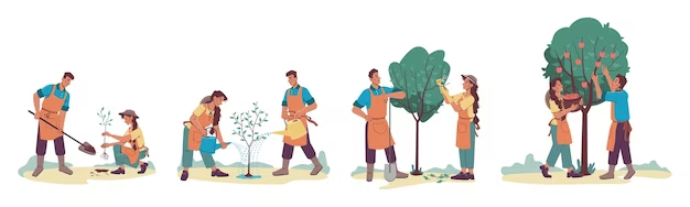 rural-livelihood-plantation