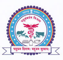 sundaram